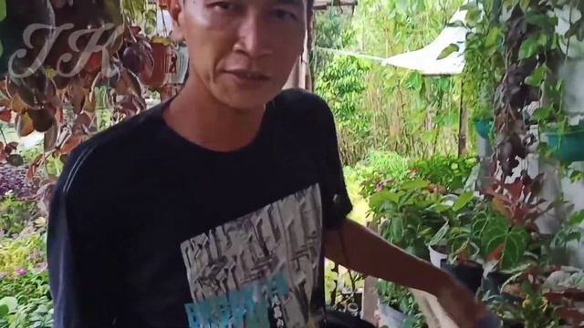 Kios Bunga | Tanaman Hias Berawal Dari Hobi смотреть онлайн