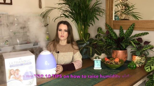 AENNON Cool Mist Humidifier Review! смотреть онлайн