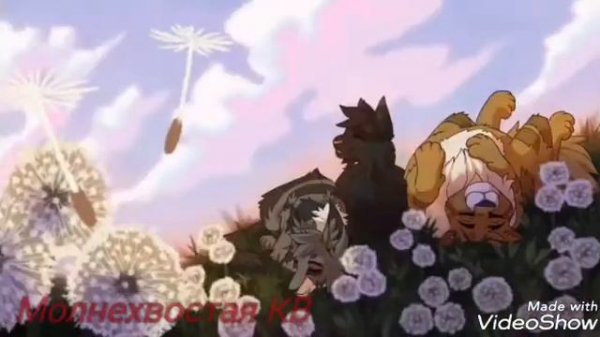 Самое тупое видео (Blue Коты Воители)