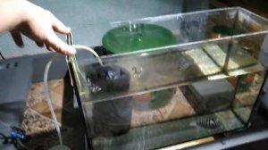 Аэролифт из губки для аквариума своими руками