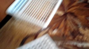 ДЕЛАЕМ "ЛОВУШКА" ДЛЯ КОТА В ДОМАШНИХ УСЛОВИЯХ!!!!!!!!!!!!