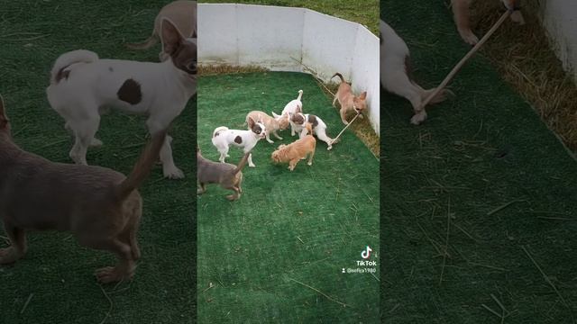 2022-06-27-130939851.mp4 смотреть онлайн