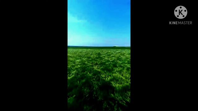 Қозы Көрпеш Баян Сұлу Жантықтың монологы смотреть онлайн