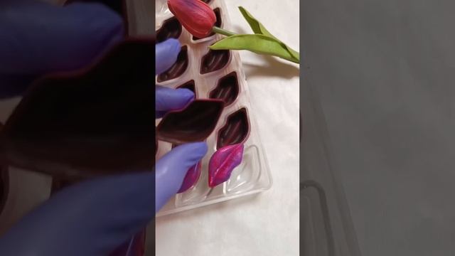 Корпусные конфеты| Смотрим корпус из темного шоколада