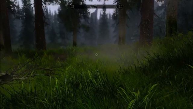 Skyrim: Project ENB смотреть онлайн