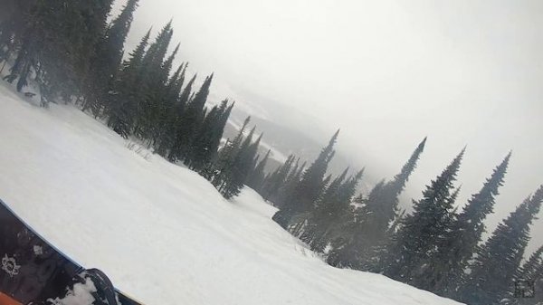 Музыка падающего снега в Горной Шории. Атмосфера зимнего леса // FOMA-BLOG