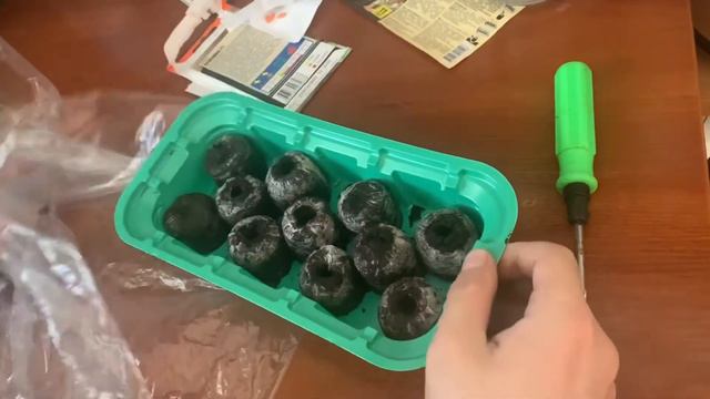 Выращиваю огурцы и томаты дома на подоконнике смотреть онлайн