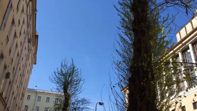 ДЕНЬ 265 - ОТКРЫТИЯ, СОВЕРШЕНИЯ + Нютка 