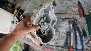 Сломалась коробка Стелс гепард