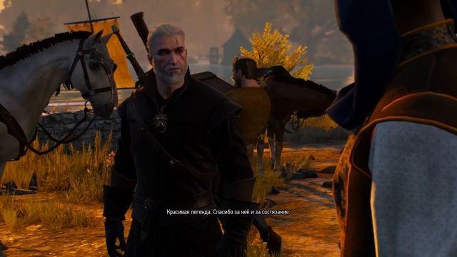 #9 Всё что осталось от каменного сердца . The witcher 3 . Heart stone смотреть онлайн