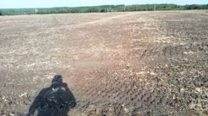 Сеем эспарцет 2023