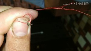 Клещ,  удаляем без паники.