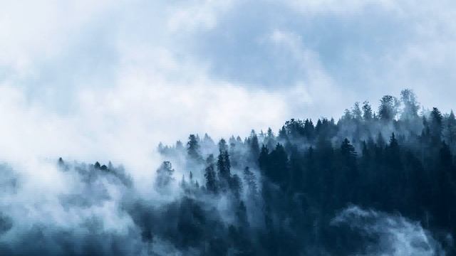 Fantasy music - Sword and Sorcery - 1 hour of medieval ambient смотреть онлайн