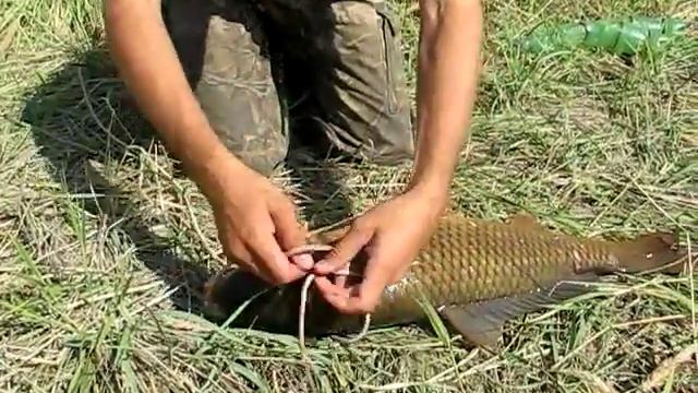 Кукан для крупного сазана и карпа смотреть онлайн