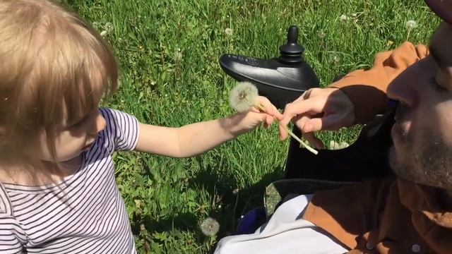 Маша, папа, одуванчик)) смотреть онлайн