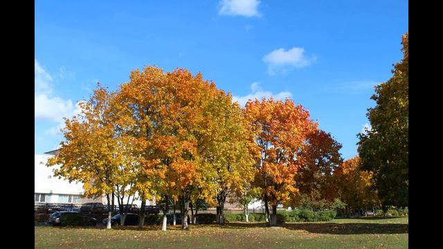 "Как в последний раз"...Нани Брегвадзе. смотреть онлайн