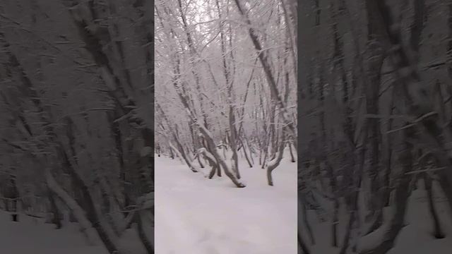 Всем привет всем хорошего настроения желаю позитива побольше смотреть онлайн