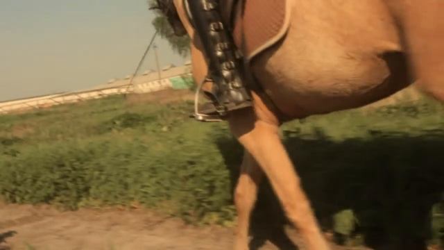 Вика и Карамелька смотреть онлайн
