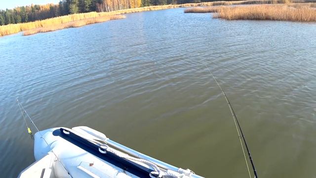 Рыбалка на щуку. Ловля на спиннинг осенью. смотреть онлайн