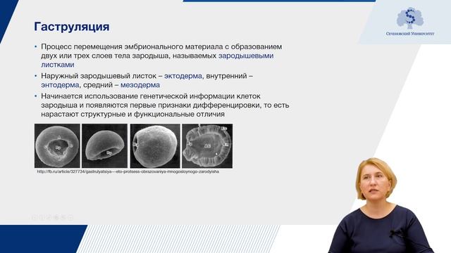 Основы онтогенеза смотреть онлайн