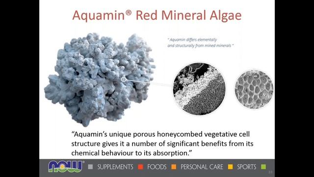WEBINAR: Calcium & Magnesium - Macromineral Nutrition смотреть онлайн