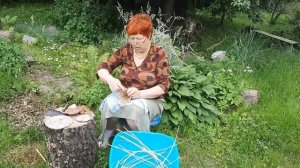 Лозоплетение