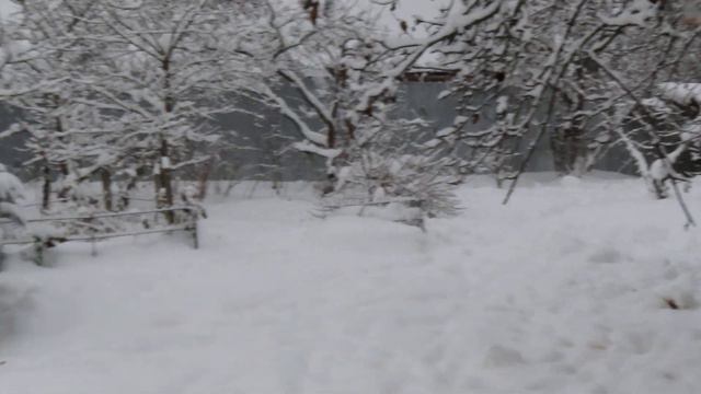 Душа поёт от этой красоты 15.12.23 Скоро Новый год! ОТЛИЧНОЕ настроение ЗИМА в Ленинградской област