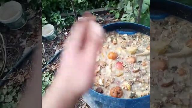 Как Вам вот такая БАРМАТУХА! смотреть онлайн