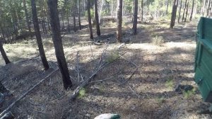 Очередная поездка за дровами на УАЗ.