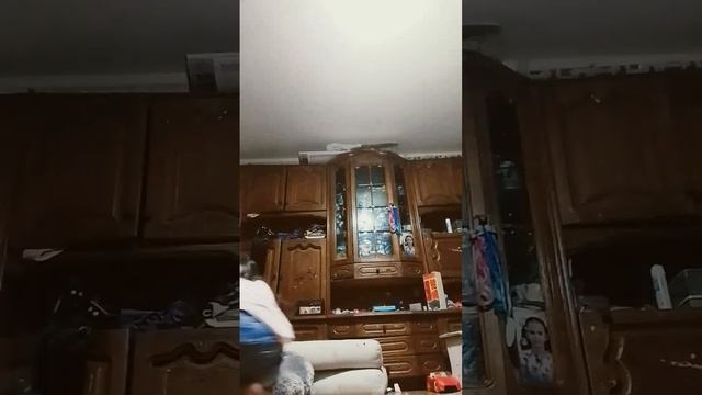 та самая я попыталась сделать прыжок как на как собака смотреть онлайн