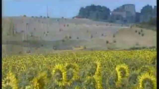 Verte campagne - GreenFields смотреть онлайн