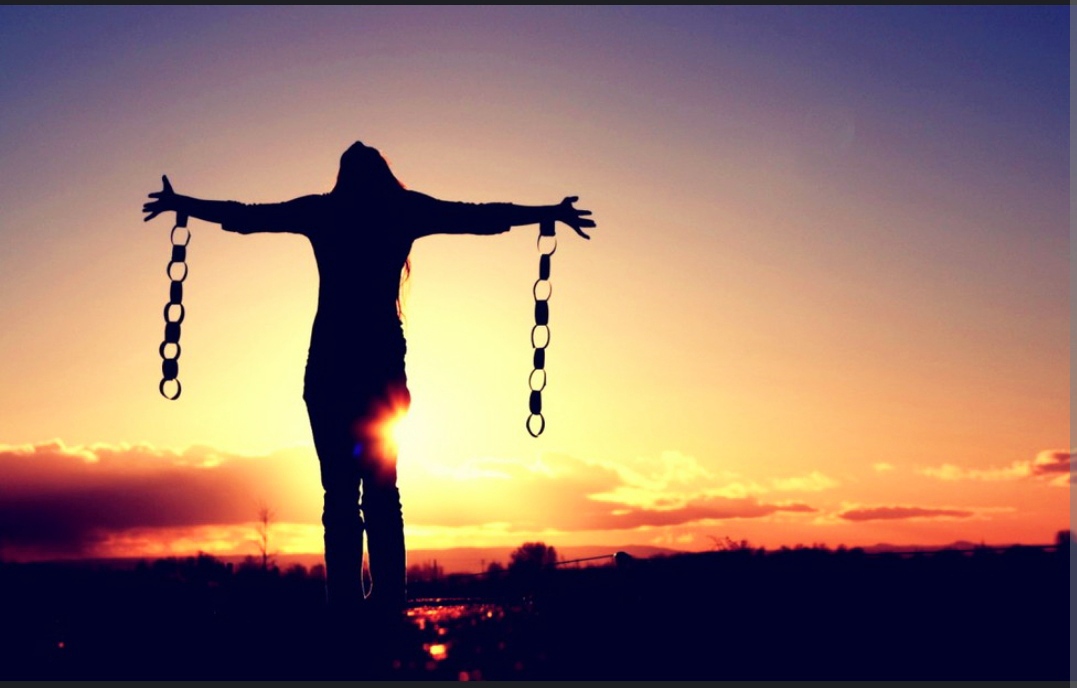 Батюшка,благословите топить котят. (Свобода и ответственность) смотреть онлайн