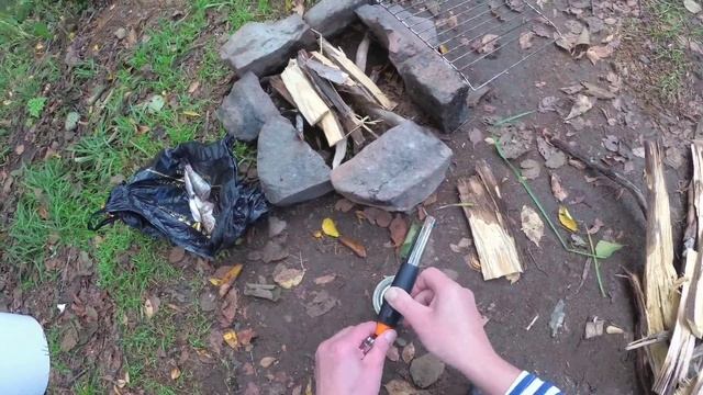 Ловля пеструшки. Подцепил Симу. Жарю рыбу. #жекарыболов #стеклянуха смотреть онлайн