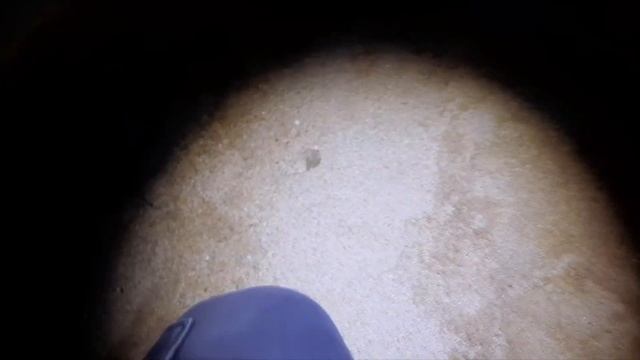 НАШЁЛ ДОРОГОЙ ЗОЛОТОЙ КРЕСТ! Пляжный коп с металлоискателем Xp Deus и Vanquish. Коп в Крыму смотреть онлайн