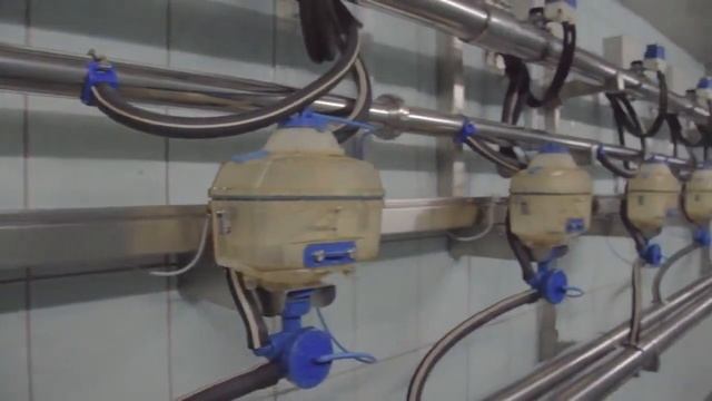 ДОИЛЬНЫЙ ЗАЛ ДЛЯ КОРОВЫ-КРС С ПОВОРОТНЫМ ВЫХОДОМ SYLCO 2x25 Sylco Hellas Греция +7-91-22-33-76-56 смотреть онлайн