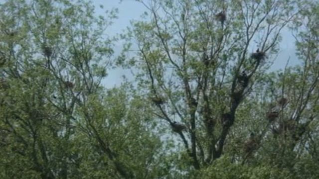 Моего села светлые пейзажи смотреть онлайн