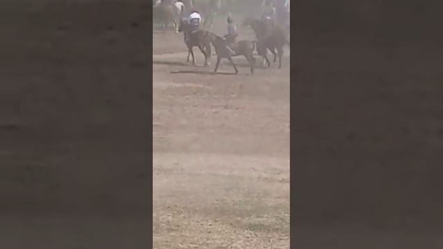 Бузкаши дар Фархор дехай Каратов смотреть онлайн