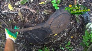 КОРОТКИЙ НО ПРОДУКТИВНЫЙ КОП МЕТАЛЛОЛОМА В ЛЕСУ!