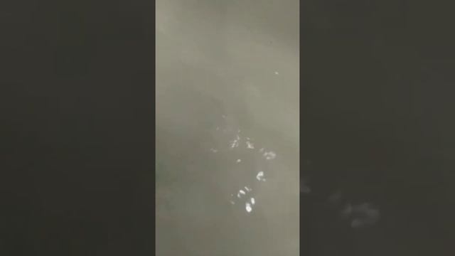 бомбочка для ванны mixit. смотреть онлайн