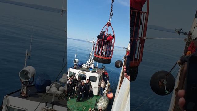 БМРТ Павел Батов, Пересадка людей на борт судна, Берингово Море, Рыбалка 2022 г. смотреть онлайн