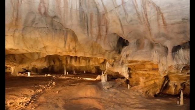 La Caverne du Pont d'Arc (Grotte Chauvet 2 Ardèche) Alain TURBAN смотреть онлайн