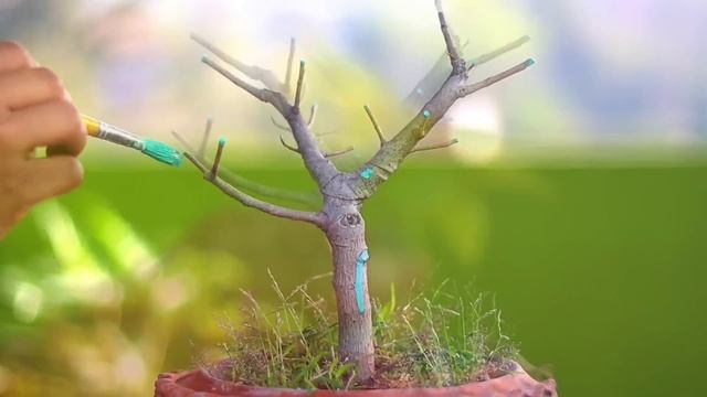 Bonsai Making From Branch Cutting смотреть онлайн