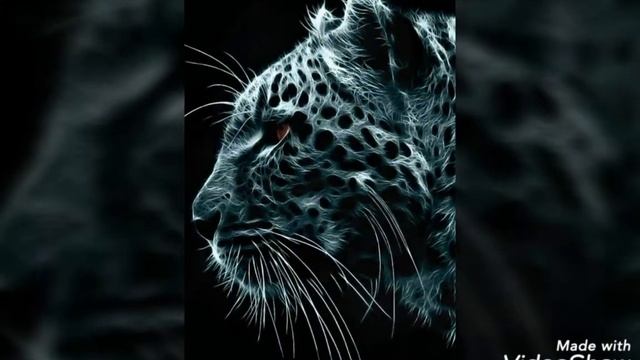 Обои на телефон смотреть онлайн