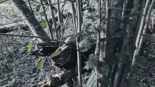 VID 20220826 193002 Поволжский сказ 1913 (Н. Клюев)...Павел Васильев Лахтинский смотреть онлайн