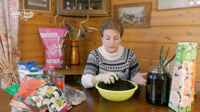 Розы в коробке. Как и куда посадить розы, купленные ранней весной. смотреть онлайн