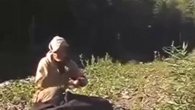 По тайге из Сибири в Европу смотреть онлайн