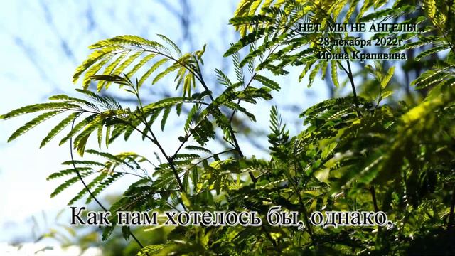 стих НЕТ, МЫ НЕ АНГЕЛЫ... 28 декабря 2022 г. читает автор Ирина Крапивина смотреть онлайн