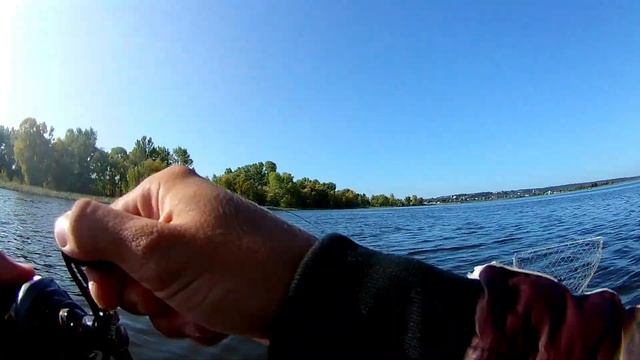 ЛОВЛЯ СУДАКА НА РЕЗИНУ И МАНДУЛЫ!!)))) смотреть онлайн