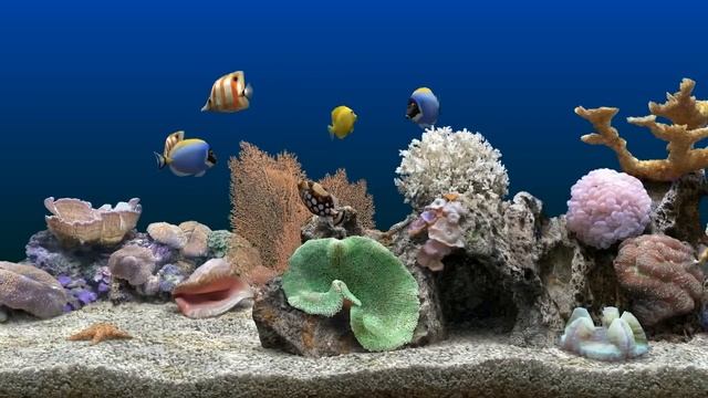 Marine Aquarium 3D Screensaver for Windows HD смотреть онлайн