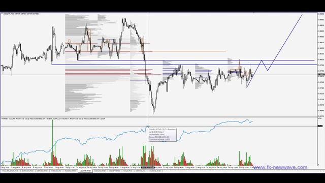 Вебинар от проекта NEW WAVE 17/08/2015 смотреть онлайн